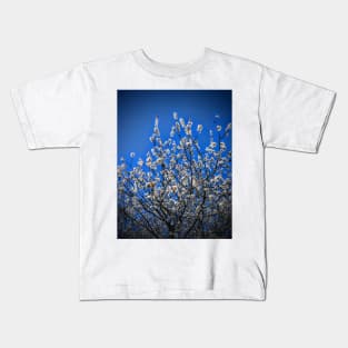 Apple Blossoms in May Kids T-Shirt